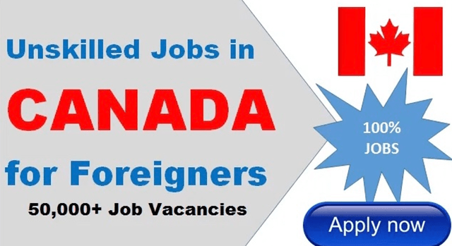 How to Apply And Get a Job Offer in Canada As a Foreigner